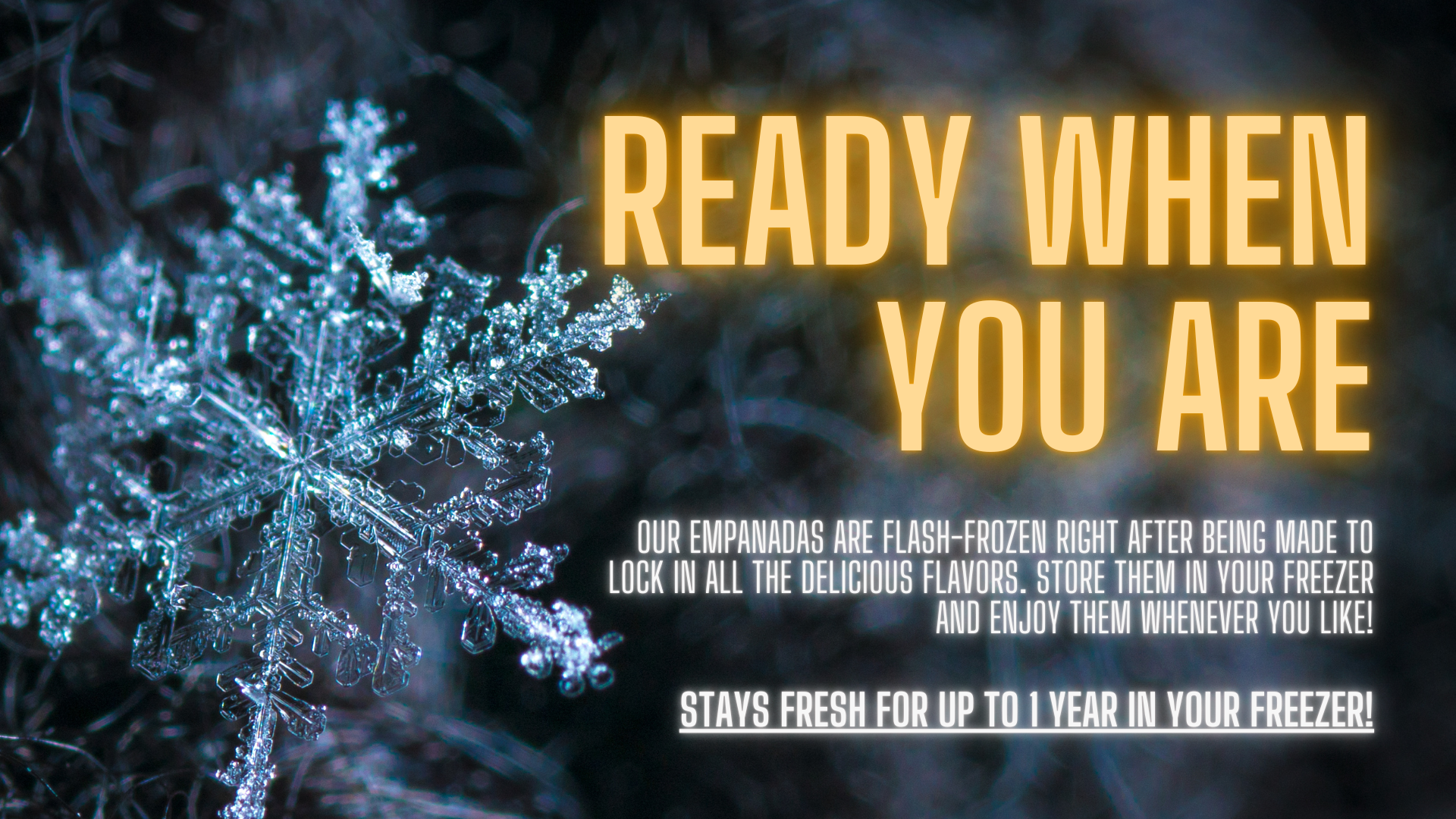 Frozen_Flyer